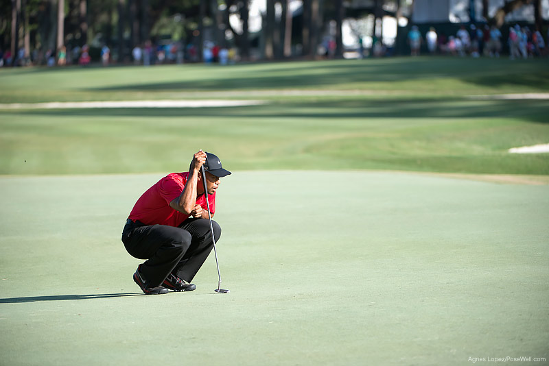 Tiger Woods lining up a putt at TPC Sawgrass from THE PLAYERS 2013 by Agnes Lopez